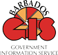GOVERMENT INFORMATION SERVICE